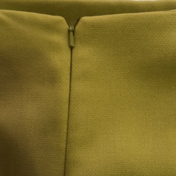 Nordstrom Halogen green mid length skirt.  Fully lined.  Size 12 - Picture 5 of 9